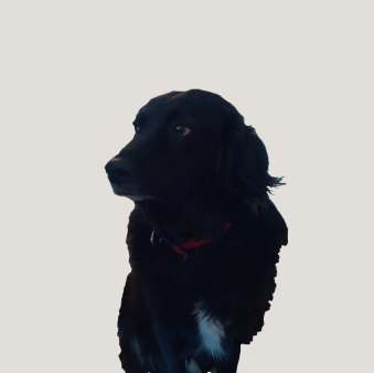 ασφαλεια αυτοκινητου τιμες